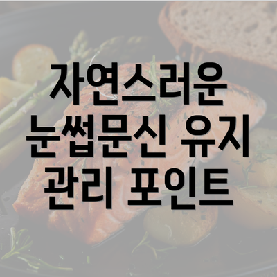 자연스러운 눈썹문신 유지 관리 포인트