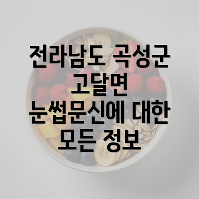 전라남도 곡성군 고달면 눈썹문신에 대한 모든 정보