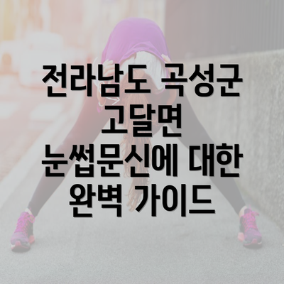 전라남도 곡성군 고달면 눈썹문신에 대한 완벽 가이드