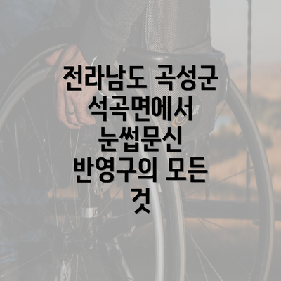 전라남도 곡성군 석곡면에서 눈썹문신 반영구의 모든 것