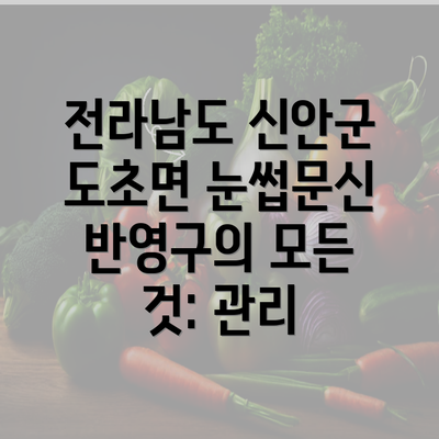 전라남도 신안군 도초면 눈썹문신 반영구의 모든 것: 관리