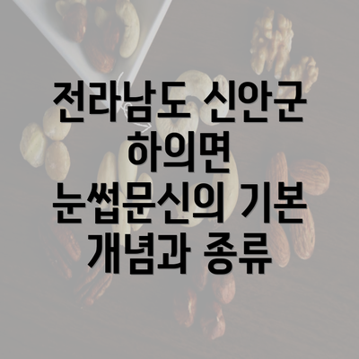 전라남도 신안군 하의면 눈썹문신의 기본 개념과 종류