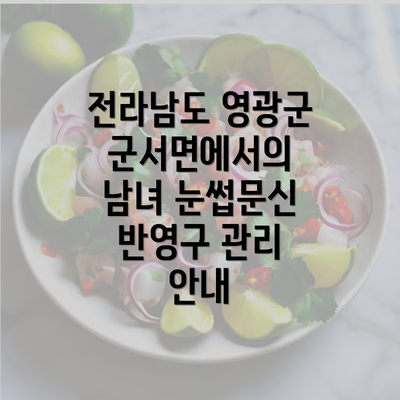 전라남도 영광군 군서면에서의 남녀 눈썹문신 반영구 관리 안내