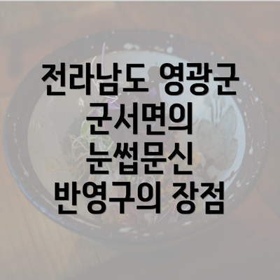 전라남도 영광군 군서면의 눈썹문신 반영구의 장점