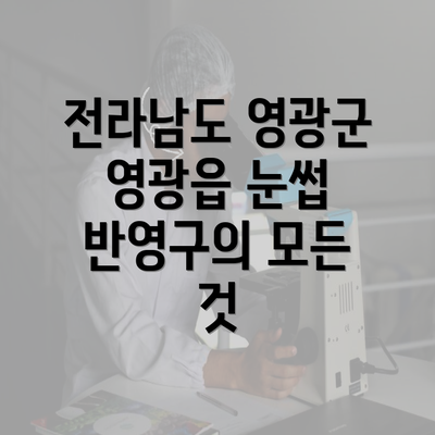 전라남도 영광군 영광읍 눈썹 반영구의 모든 것