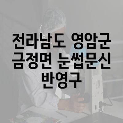 전라남도 영암군 금정면 눈썹문신 반영구