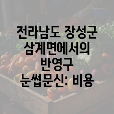 전라남도 장성군 삼계면에서의 반영구 눈썹문신: 비용