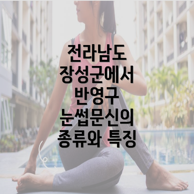 전라남도 장성군에서 반영구 눈썹문신의 종류와 특징