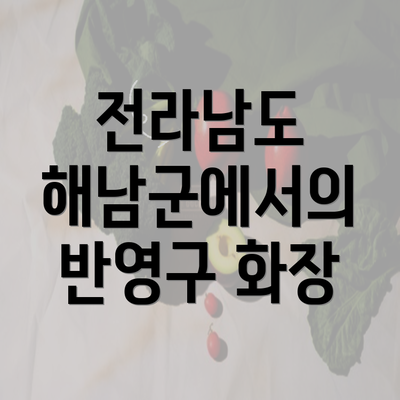 전라남도 해남군에서의 반영구 화장