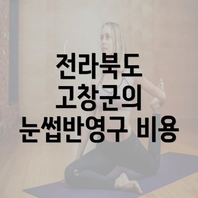 전라북도 고창군의 눈썹반영구 비용