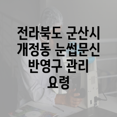 전라북도 군산시 개정동 눈썹문신 반영구 관리 요령