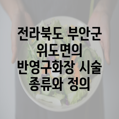 전라북도 부안군 위도면의 반영구화장 시술 종류와 정의