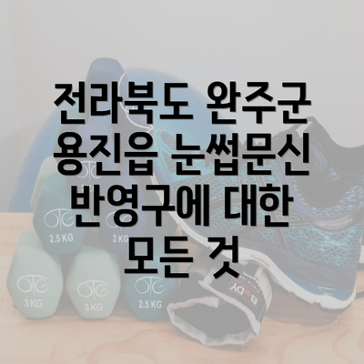 전라북도 완주군 용진읍 눈썹문신 반영구에 대한 모든 것