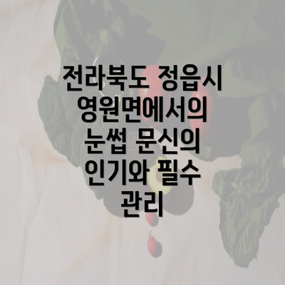 전라북도 정읍시 영원면에서의 눈썹 문신의 인기와 필수 관리