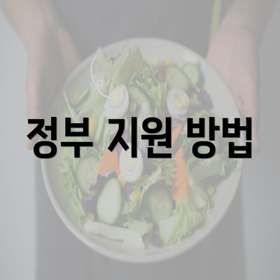 정부 지원 방법