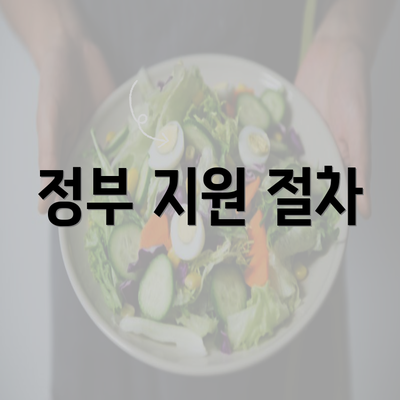 정부 지원 절차