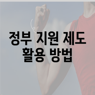 정부 지원 제도 활용 방법