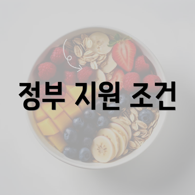 정부 지원 조건