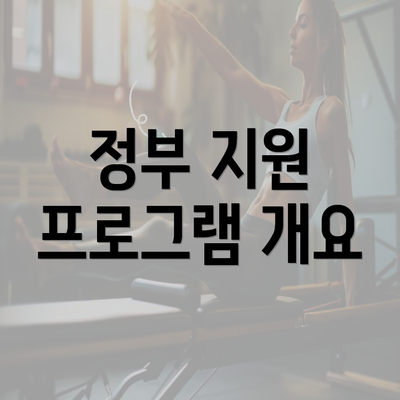 정부 지원 프로그램 개요