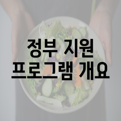 정부 지원 프로그램 개요