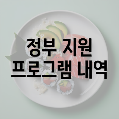 정부 지원 프로그램 내역