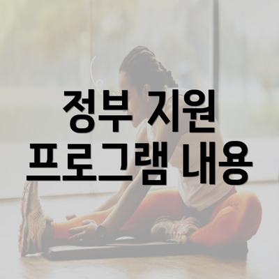 정부 지원 프로그램 내용