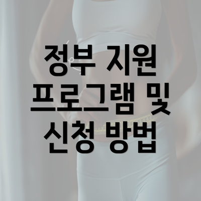 정부 지원 프로그램 및 신청 방법