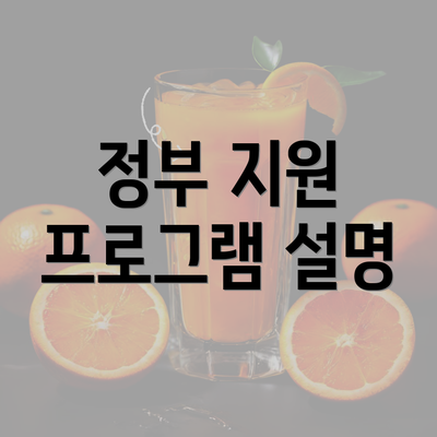 정부 지원 프로그램 설명