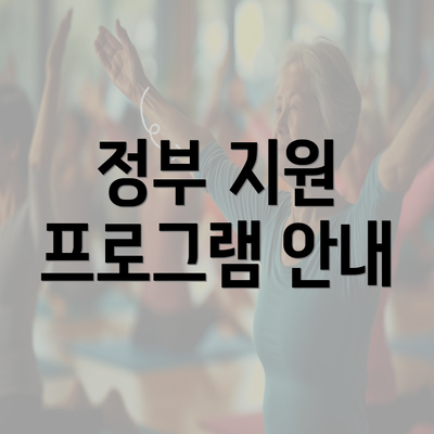 정부 지원 프로그램 안내