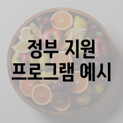 정부 지원 프로그램 예시