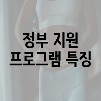 정부 지원 프로그램 특징