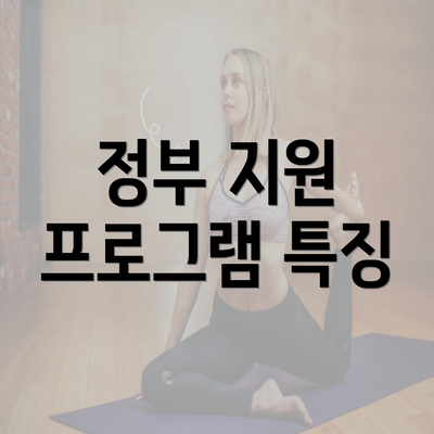 정부 지원 프로그램 특징