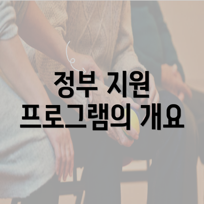 정부 지원 프로그램의 개요