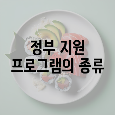 정부 지원 프로그램의 종류