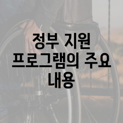 정부 지원 프로그램의 주요 내용