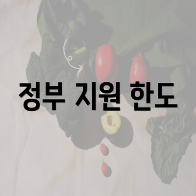 정부 지원 한도