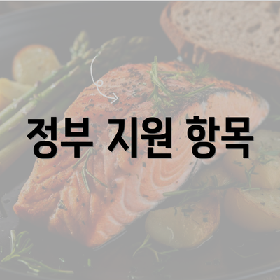 정부 지원 항목