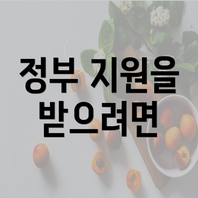 정부 지원을 받으려면