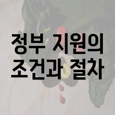 정부 지원의 조건과 절차