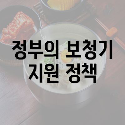 정부의 보청기 지원 정책