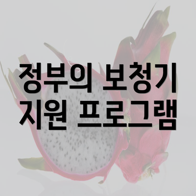 정부의 보청기 지원 프로그램