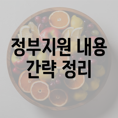 정부지원 내용 간략 정리