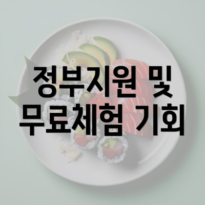 정부지원 및 무료체험 기회