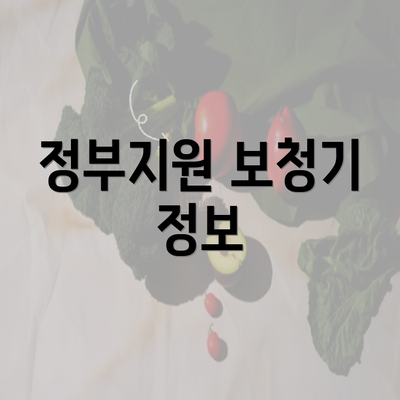 정부지원 보청기 정보