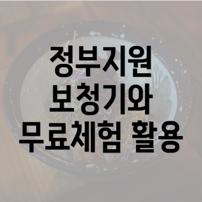 정부지원 보청기와 무료체험 활용