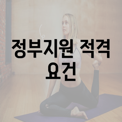 정부지원 적격 요건