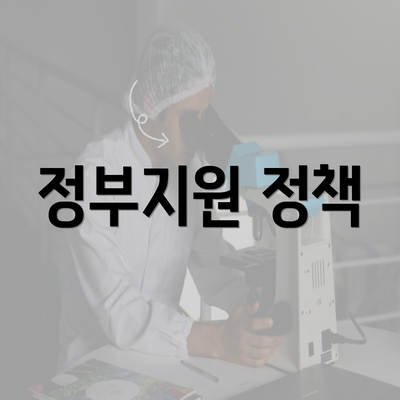 정부지원 정책