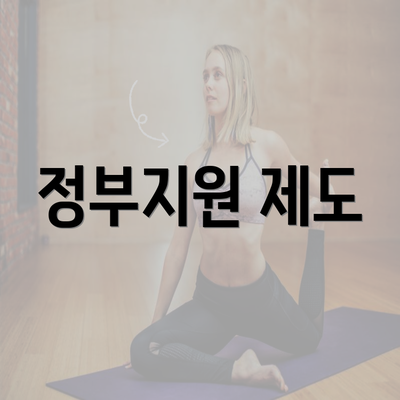 정부지원 제도