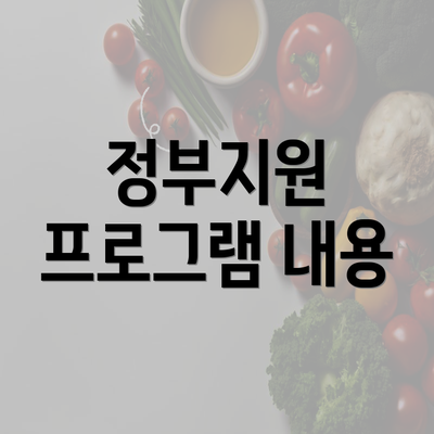 정부지원 프로그램 내용