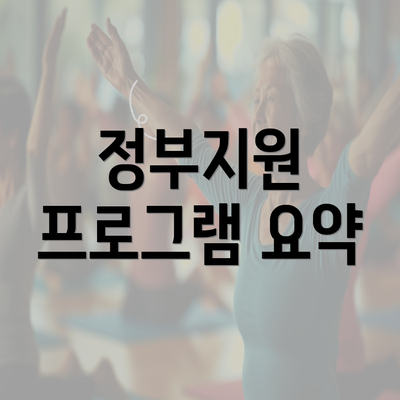 정부지원 프로그램 요약